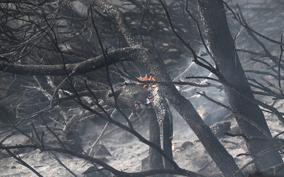 Πυρκαγιά στην Βούλα: ''Πολύ δύσκολη πυρκαγιά λόγω καιρικών συνθηκών'', υποστηρίζει ο Στυλιανίδης