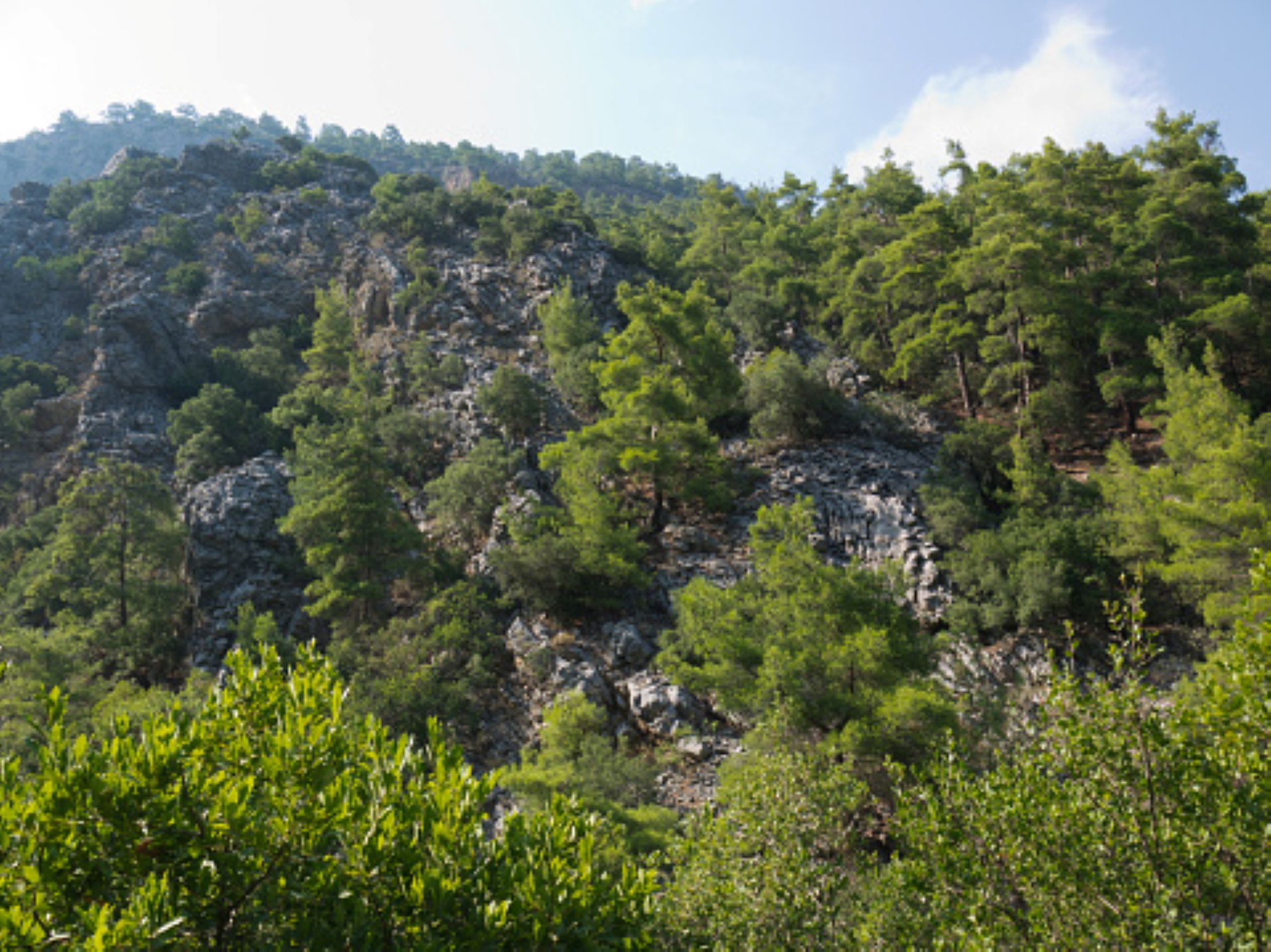 Έ&nu;&alpha;&sigmaf; &kappa;&rho;&upsilon;&mu;&mu;έ&nu;&omicron;&sigmaf; &pi;&alpha;&rho;ά&delta;&epsilon;&iota;&sigma;&omicron;&sigmaf; &sigma;&tau;&eta;&nu; &Alpha;&tau;&tau;&iota;&kappa;ή, &mu;ό&lambda;&iota;&sigmaf; 50 &lambda;&epsilon;&pi;&tau;ά &alpha;&pi;ό &tau;&eta;&nu; &Alpha;&theta;ή&nu;&alpha;