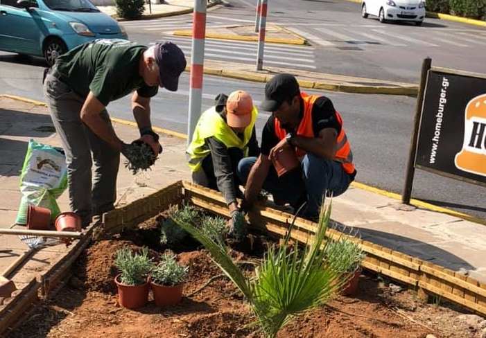 Άλιμος: Νέα φυτά «πρασινίζουν» τη συμβολή της λεωφόρου Ιωνίας με την οδό Κυβέλης